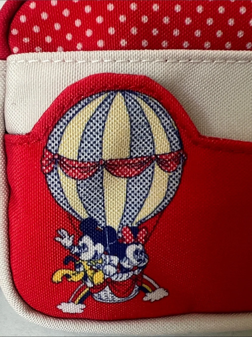 NWT Tokyo Disneyland Resort Pouch